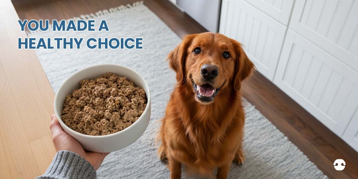 Picture of Low-Fat Diets for Dogs: Managing Pancreatitis and Fat Intolerance