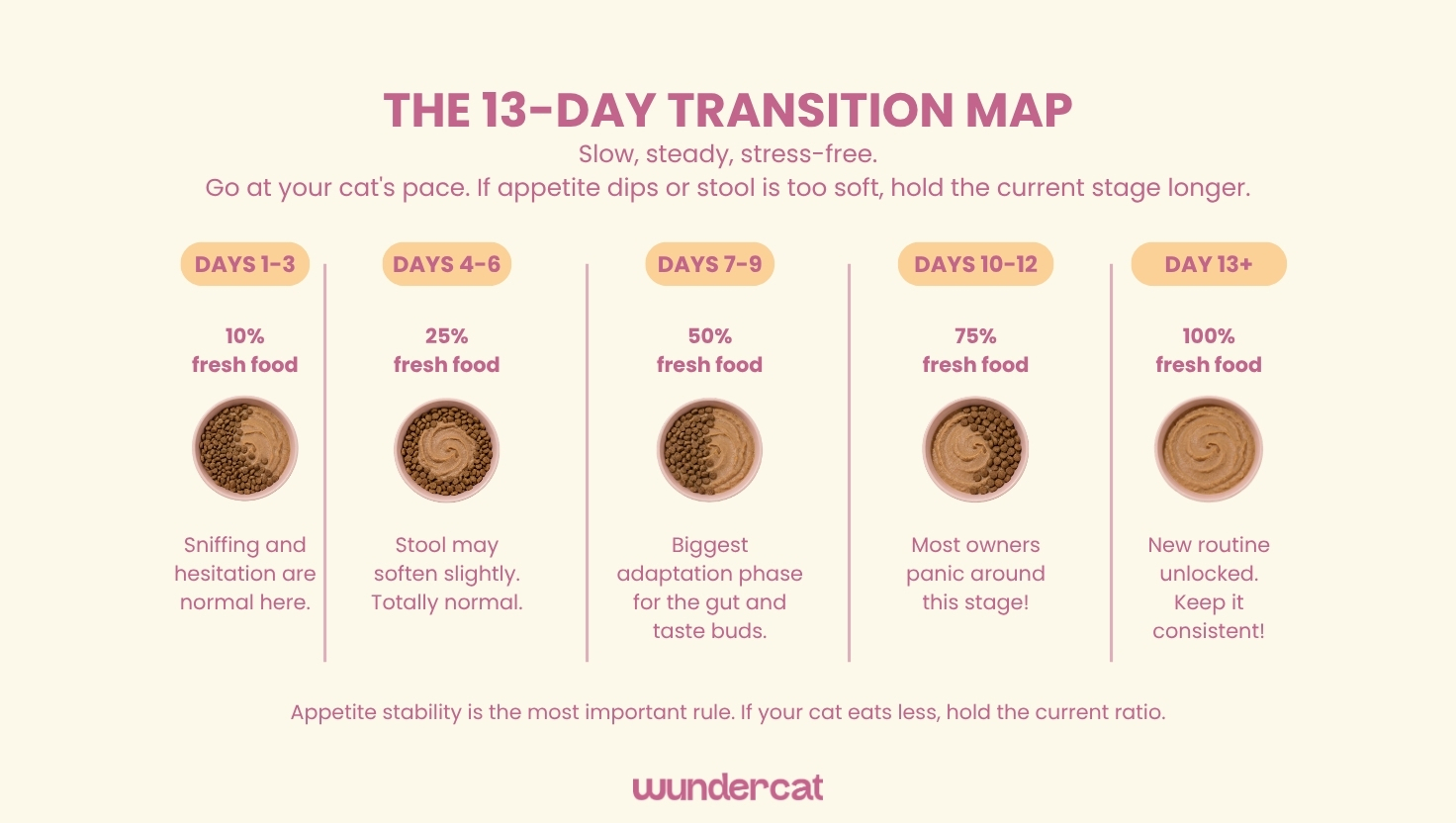 Step-by-step 13-day cat food transition guide showing the gradual increase from 10% to 100% fresh food, with feeding ratios and expected adjustment milestones.