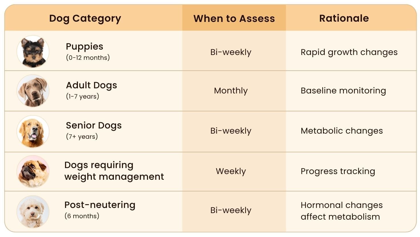 Chart showing recommended frequency for assessing Body Condition Score (BCS) in puppies, adult, senior, overweight, and post-neutering dogs.