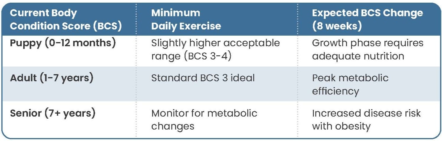 BCS Interpretation Across Life Stages