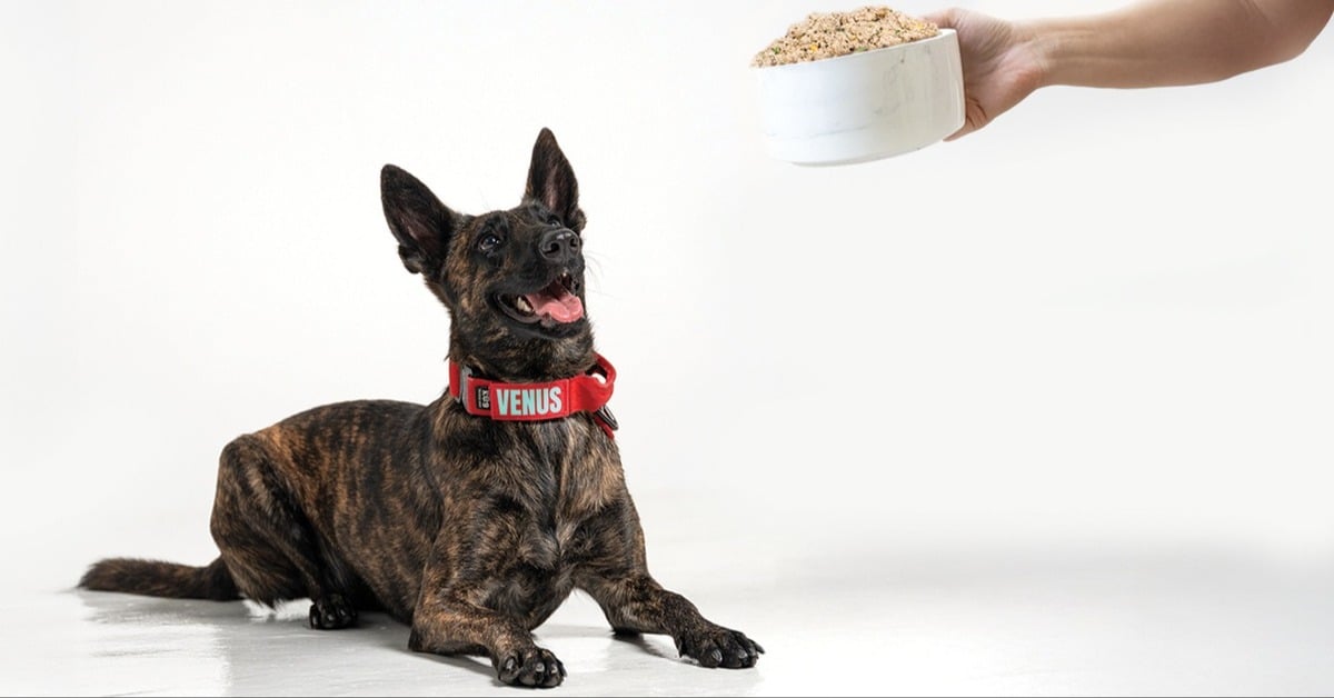 Wunderdog Gently Cooked Meals