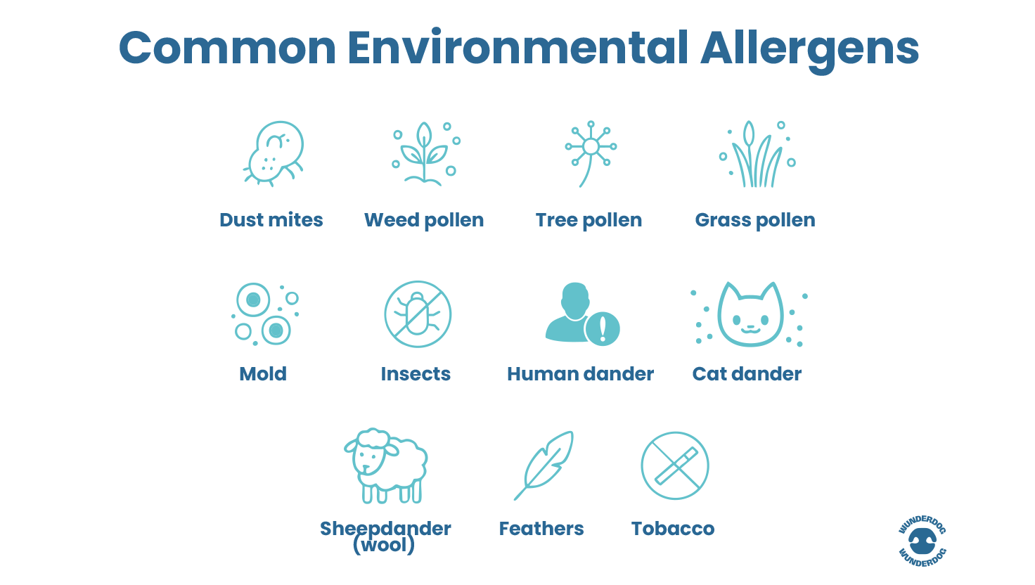 Infographic showing common environmental allergens in dogs, including dust mites, pollen, mould, insects, dander, wool, feathers, and tobacco.