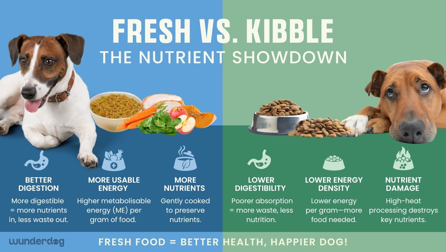 Side-by-side comparison of fresh dog food versus kibble, highlighting advantages in digestibility, nutrient retention, energy density, and processing impact.