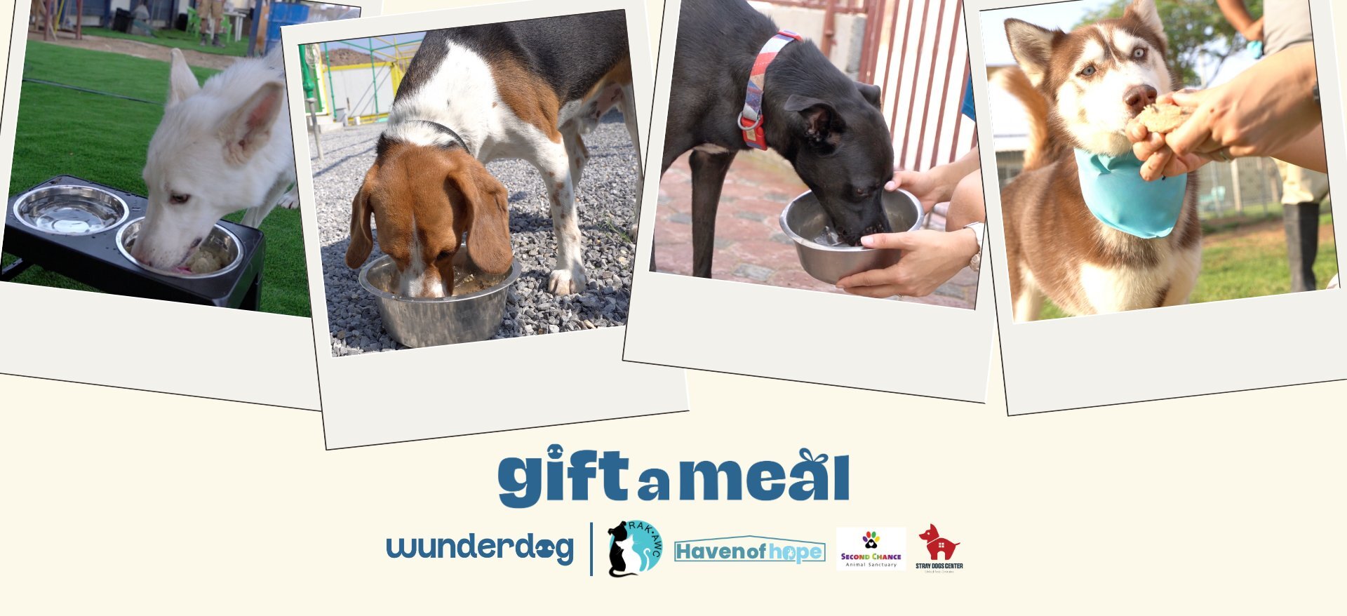 Four photos of rescue dogs eating from bowls above the Gift a Meal logo
