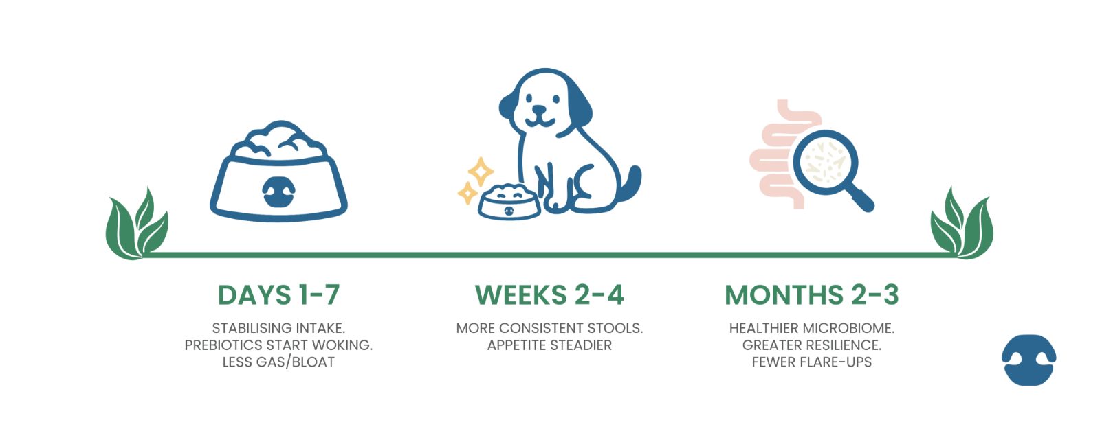 Microbiome Rebuild Timeline