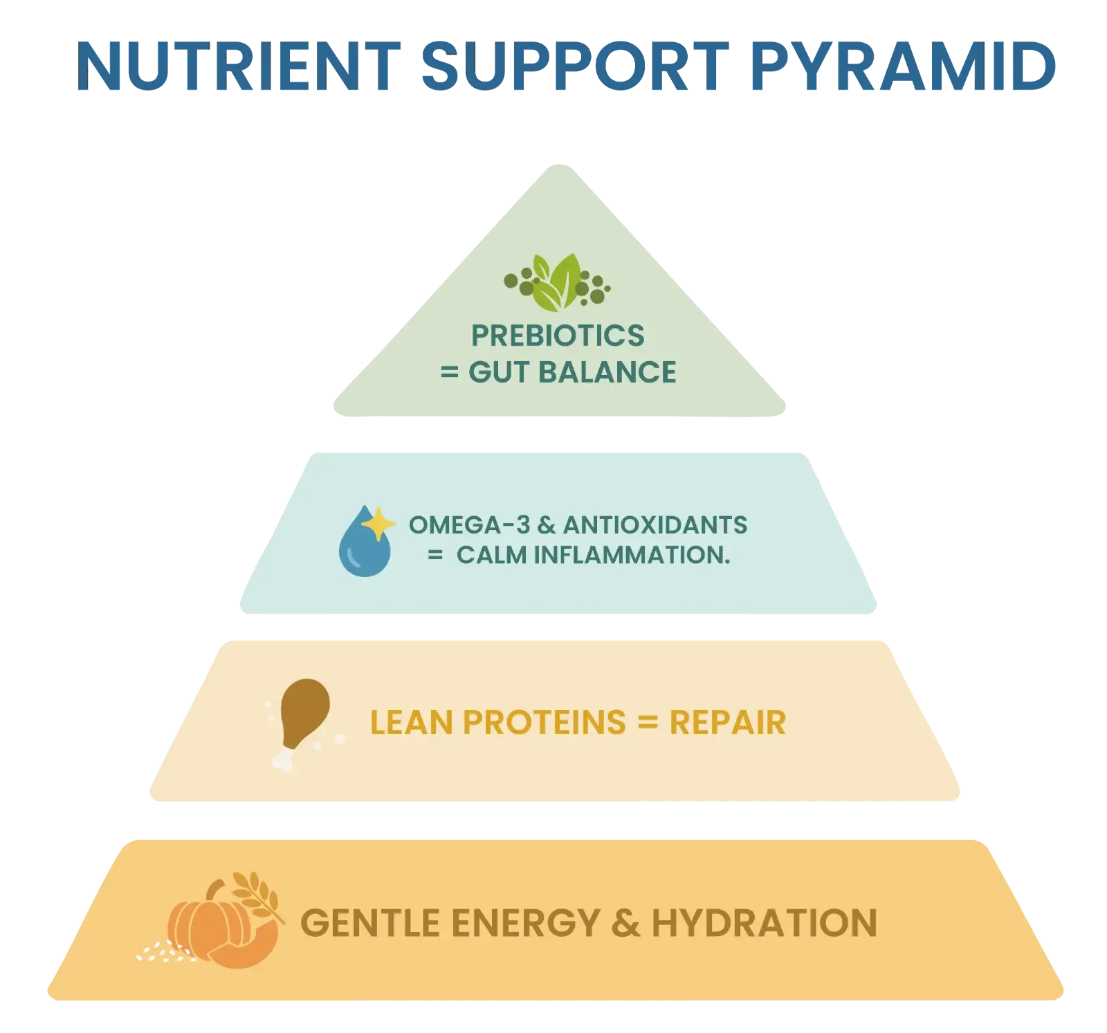 Nutrient support pyramid for pancreatitis recovery: hydration, lean proteins, omega-3 and antioxidants, and prebiotics
