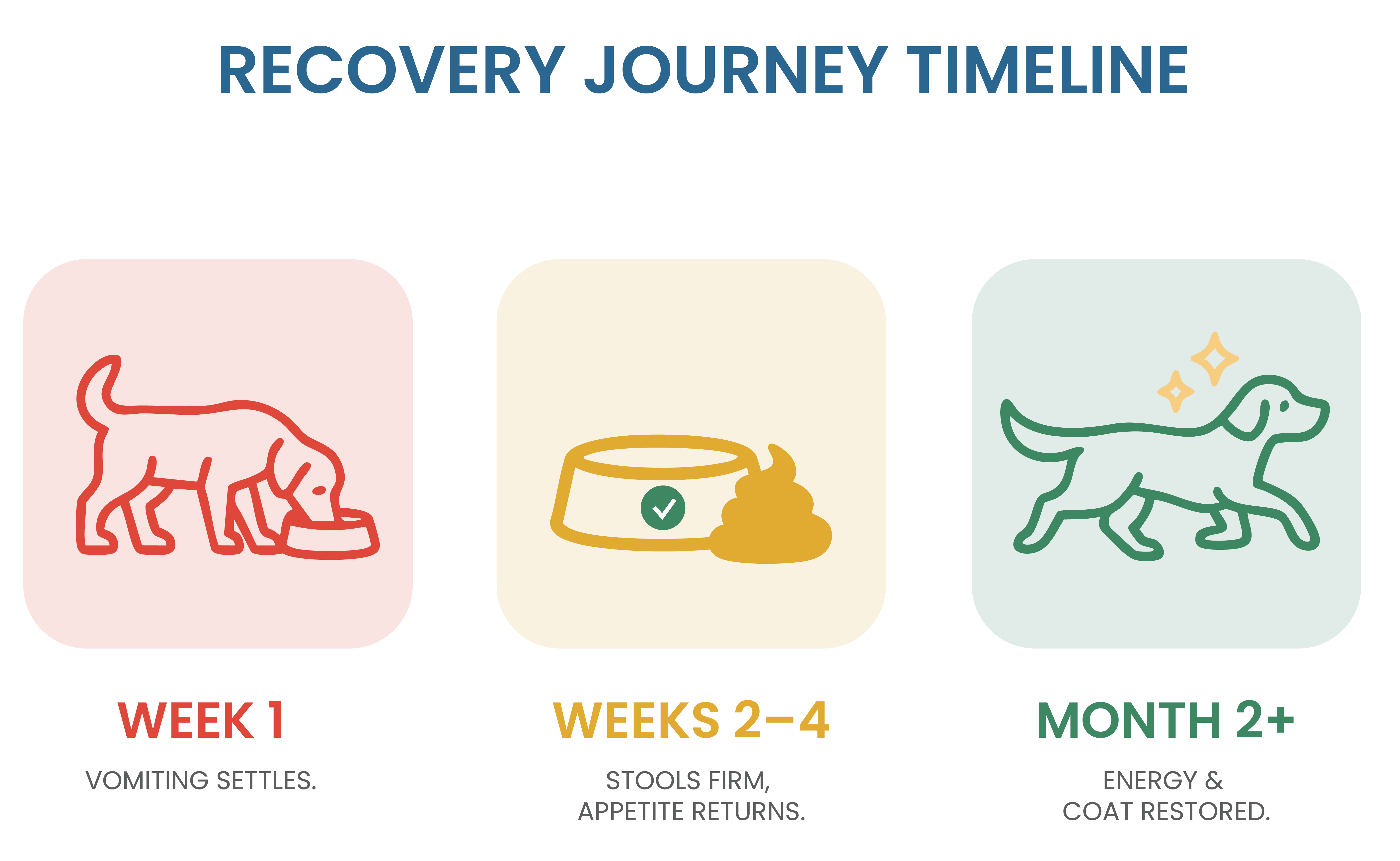 Pancreatitis recovery timeline: vomiting settles in week 1, stools firm up in weeks 2 to 4, energy and coat return from month 2