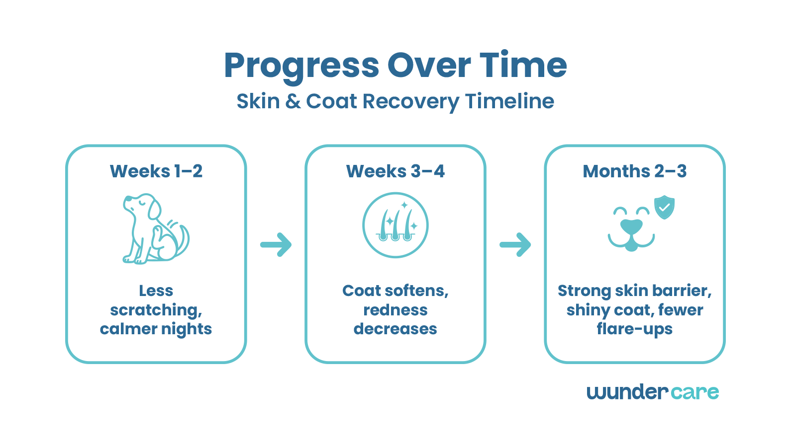 Timeline graphic showing skin and coat recovery stages. Weeks 1–2 – less scratching; Weeks 3–4 – coat softens, redness decreases; Months 2–3 – strong skin barrier, shiny coat, fewer flare-ups. Blue line and arrow progression.