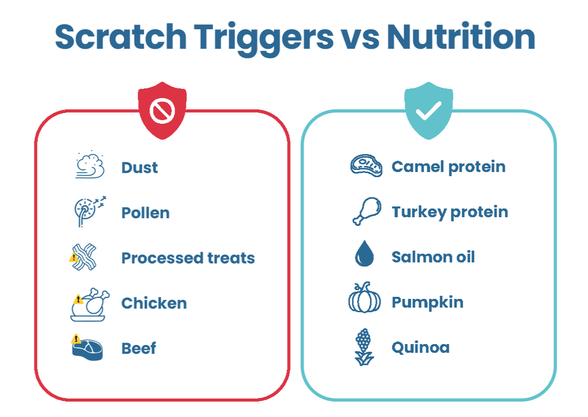 Common scratch triggers such as dust, pollen and processed treats compared with supportive ingredients such as camel protein and salmon oil