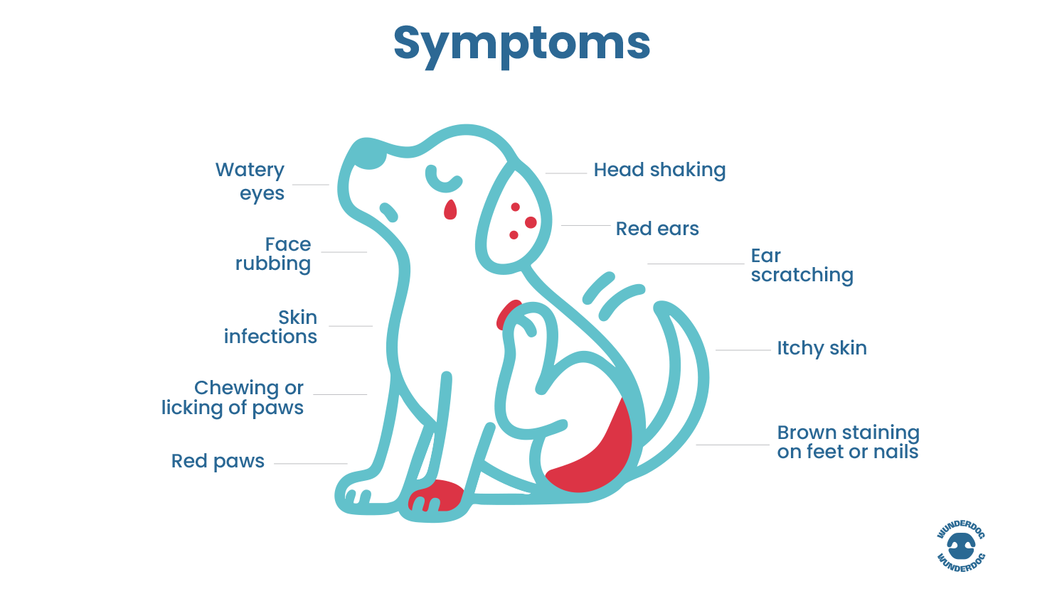 Illustration of a dog scratching with red irritated spots, showing common allergy symptoms such as itchy skin, red paws, and ear scratching.