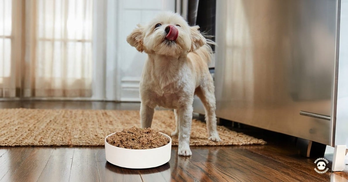 Small white dog licking its lips next to a bowl of fresh dog food in a kitchen, Wunderdog logo in the corner.