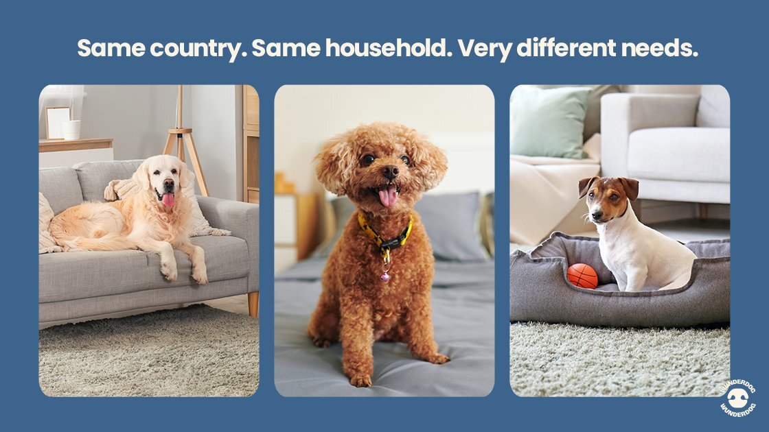 Three dogs of different breeds and sizes resting indoors, showing how dogs in the same household can have very different nutrition needs.