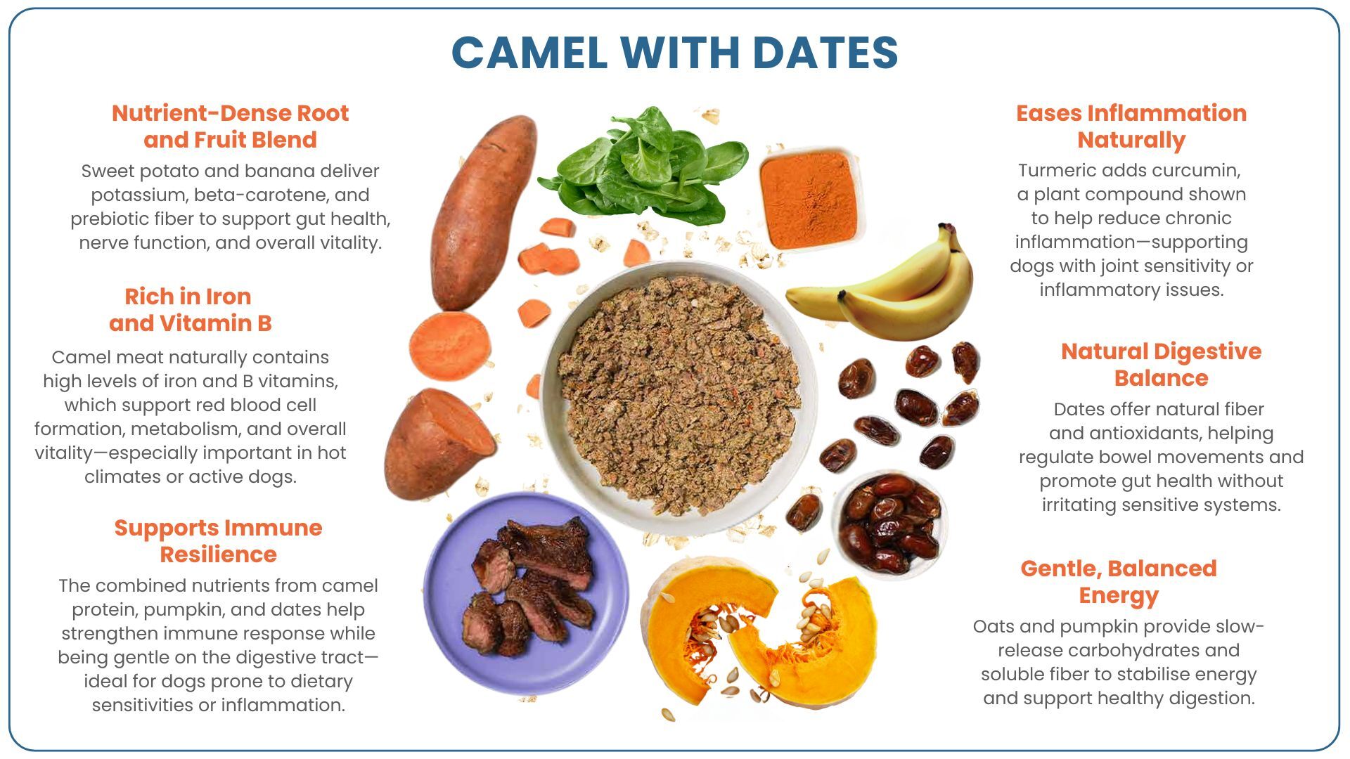 A Novel Protein - Wunderdog Camel with Dates Recipe