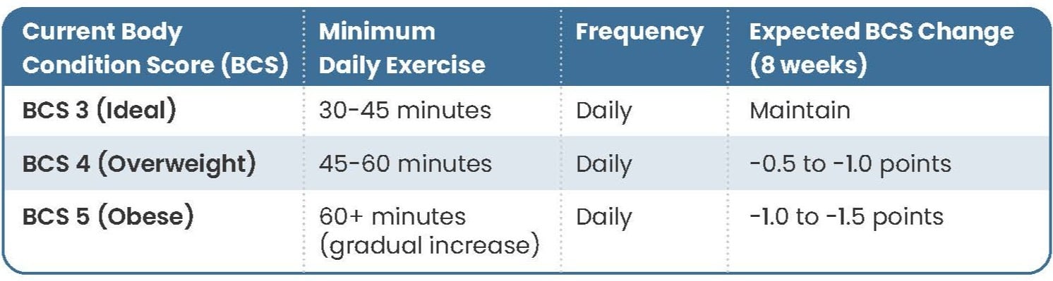 Exercise Requirements by Current BCS