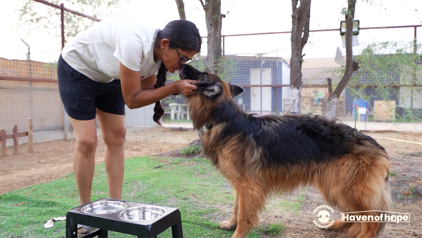 Woman kisses a German Shepherd as Wunderdog meals are served at Haven of Hope rescue centre.