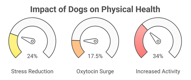 Impact of Dogs on Your Physical Health