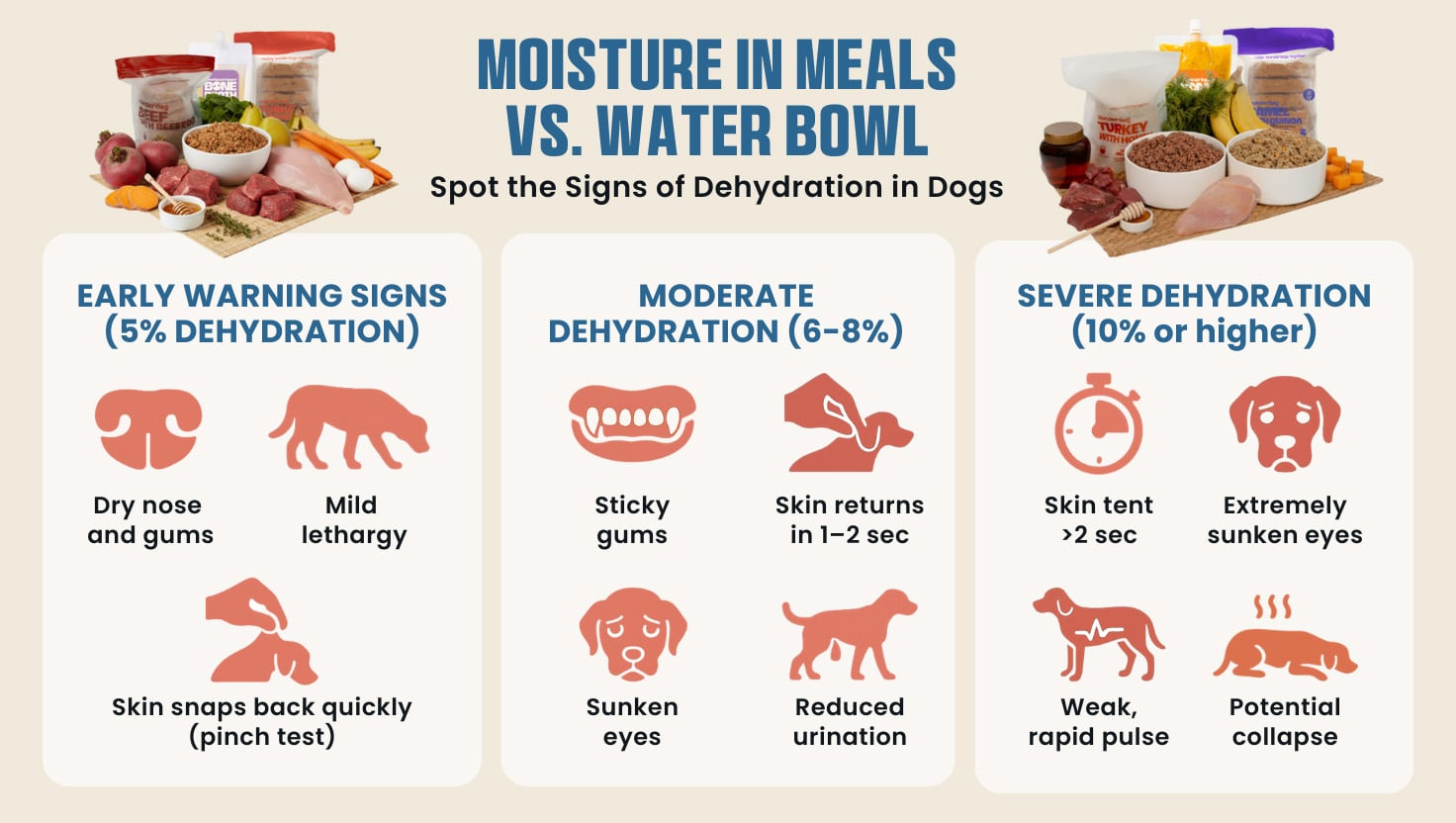 Infographic showing dehydration signs in dogs and the role of moisture in meals versus water bowl, with early, moderate, and severe dehydration symptoms.