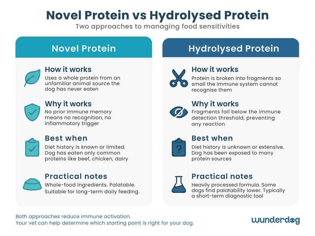 Side-by-side comparison of novel protein and hydrolysed protein diet approaches showing when each works best for sensitive dogs