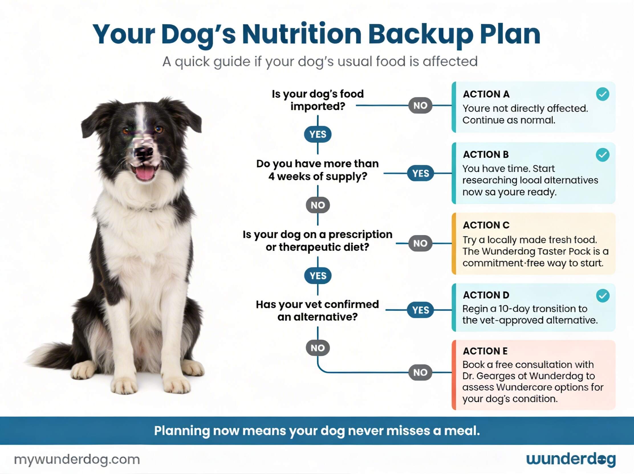 Worried about your dog’s food supply? Four questions to figure out your next move.
