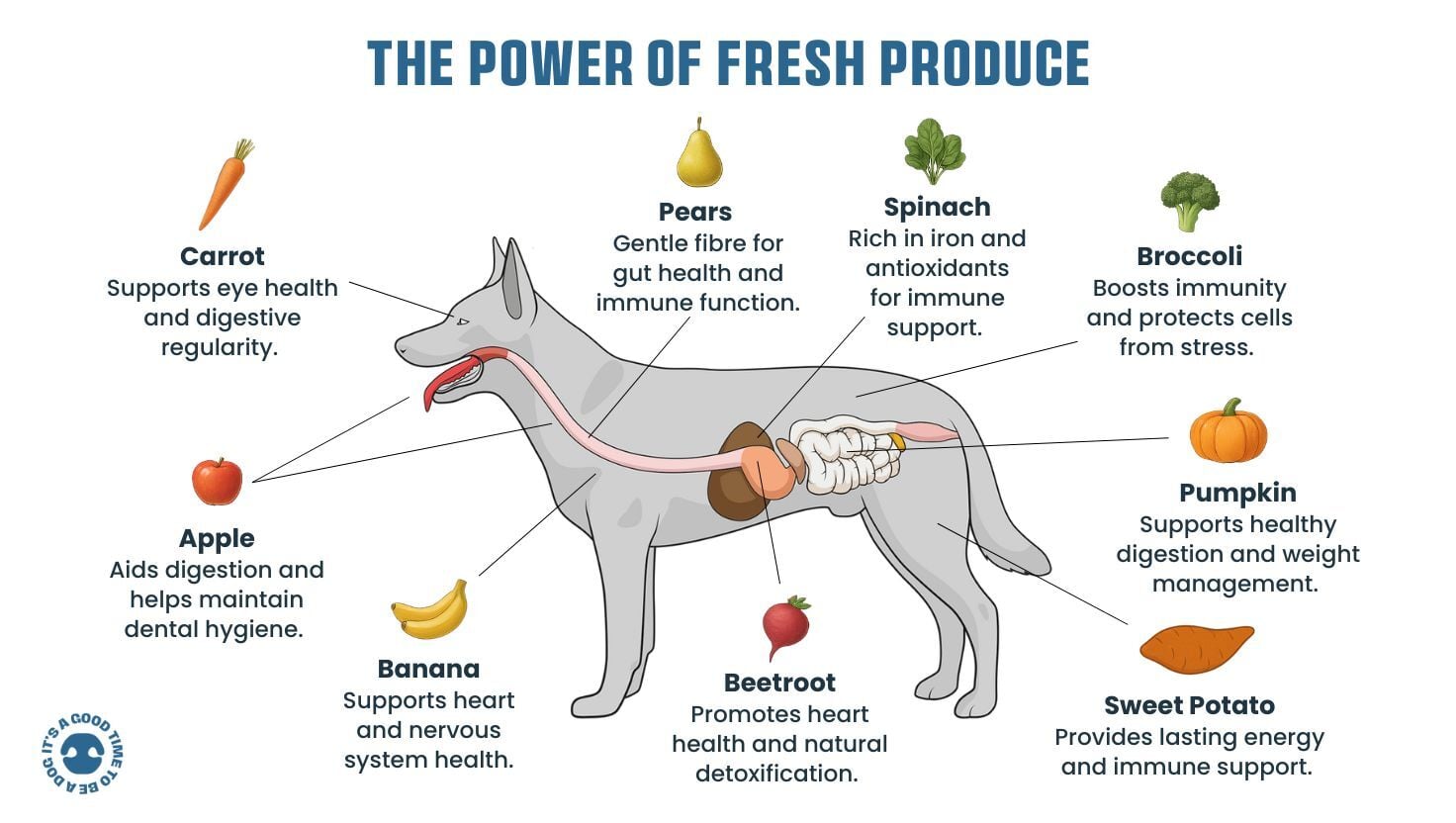 The Power of Fresh Produce in Dog Nutrition