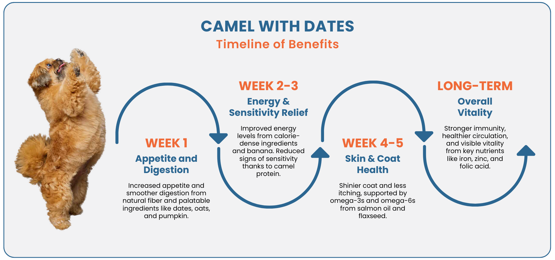 The Benefits of Fresh Food for Dogs