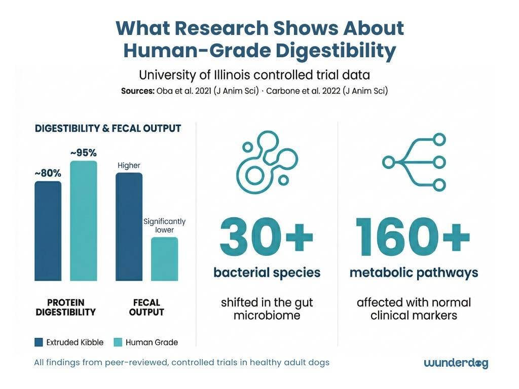 Research data showing human grade dog food has higher digestibility and lower fecal output than kibble with shifts in over 30 bacterial species