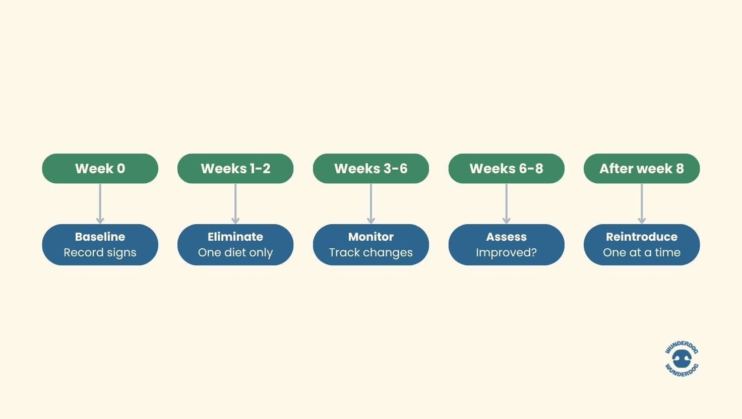 Timeline showing the stages of a dog food elimination diet, including baseline recording, elimination phase, monitoring, assessment, and gradual food reintroduction after eight weeks.