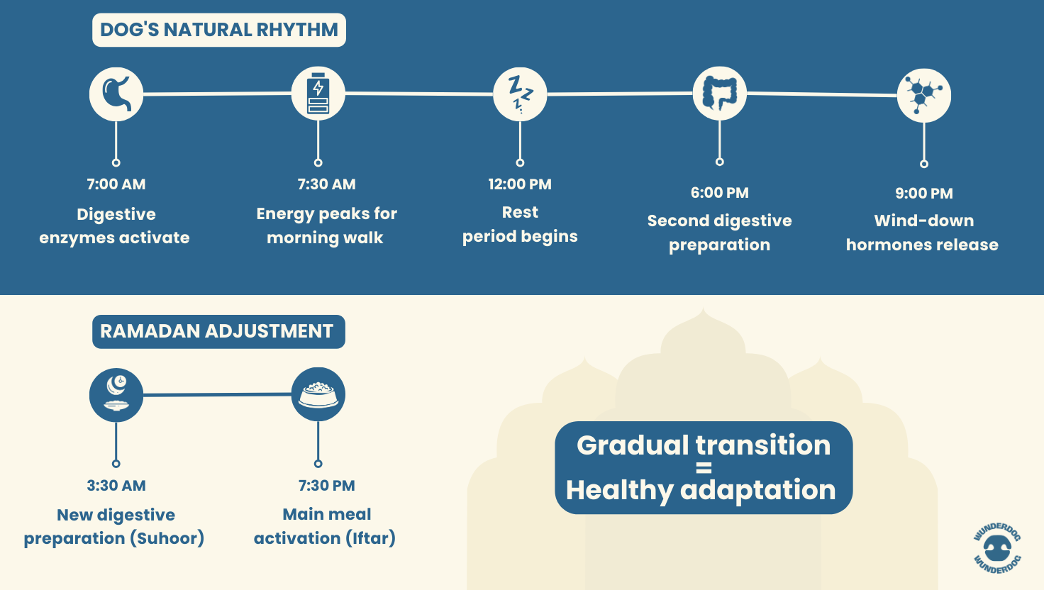Timeline comparing a dog's natural daily digestive rhythm with a Ramadan feeding routine at Suhoor and Iftar