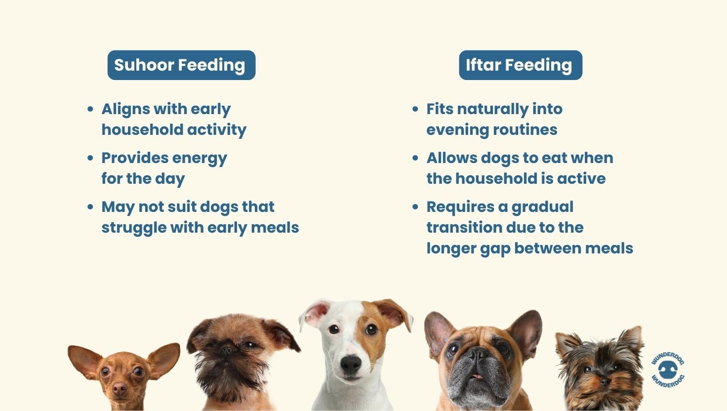 Pros and cons of feeding your dog at Suhoor or at Iftar during Ramadan