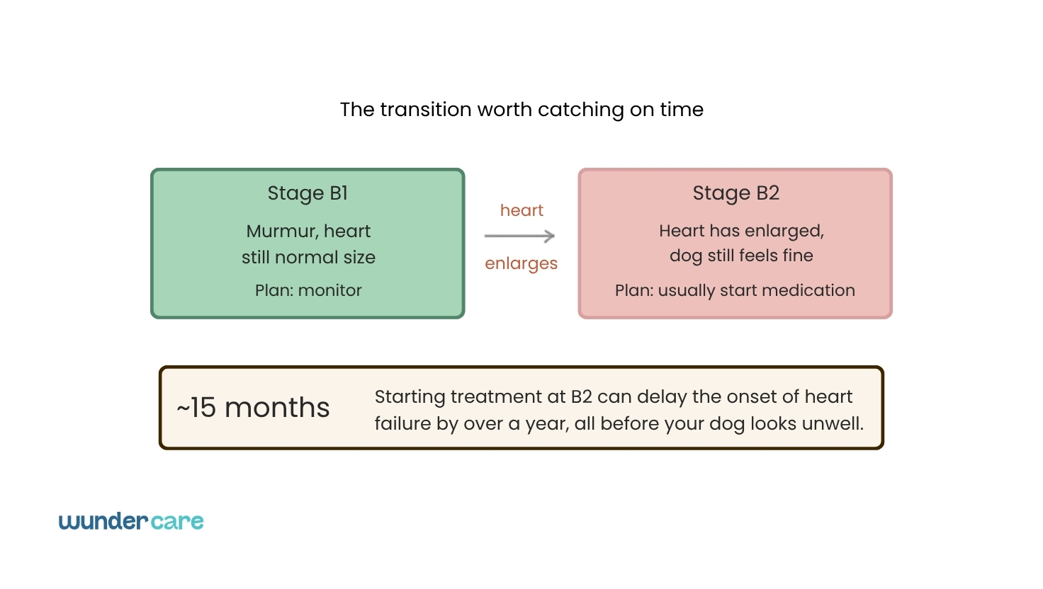 Diagram showing the transition from stage B1 to B2 in canine heart disease, with a note that early treatment at B2 can delay heart failure by around 15 months, Wundercare