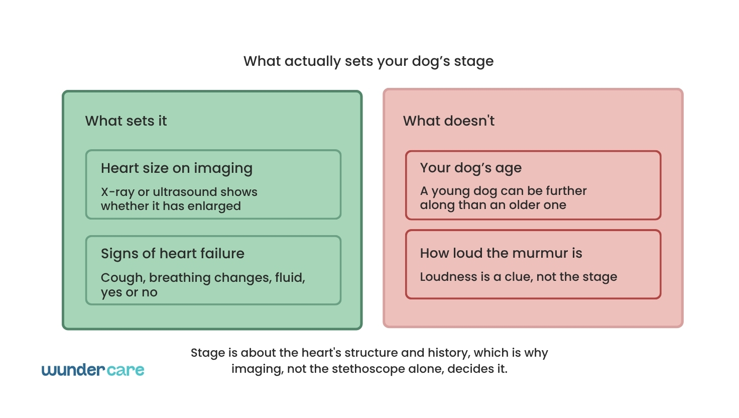 Diagram comparing what determines a dog's heart disease stage, heart size on imaging and signs of heart failure, versus what doesn't, age and murmur loudness, Wundercare