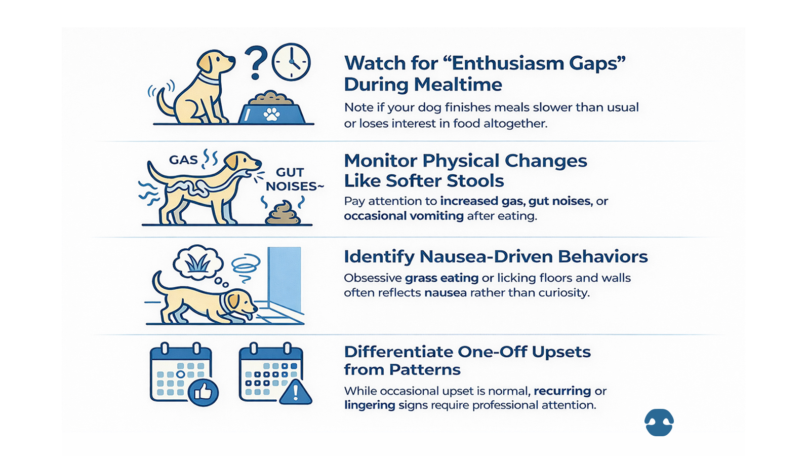 Infographic explaining digestive warning signs in dogs including slower eating, softer stools, gas, gut noises, nausea behaviours like grass eating, and when to monitor patterns versus seek veterinary attention.